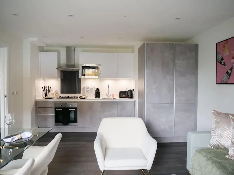 Modern One Bedroom Flat In The Heart Of Londyn 0*,  Wielka Brytania